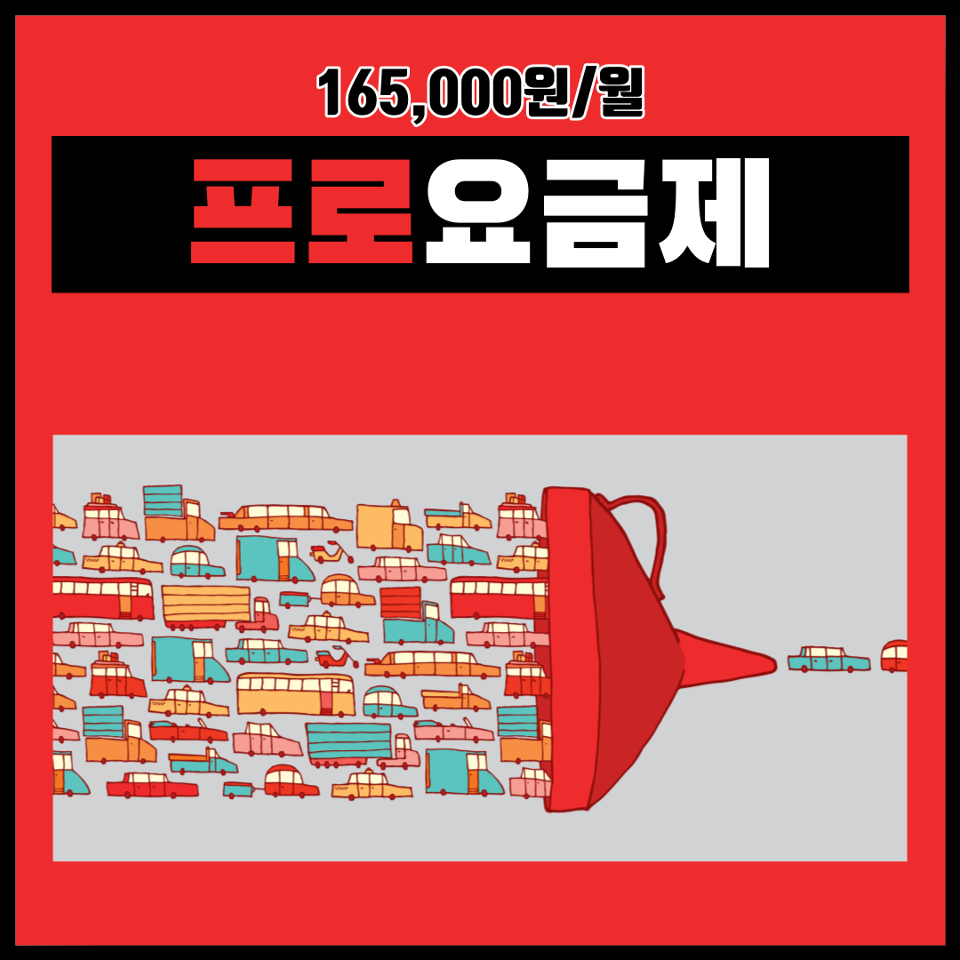 프로 요금제(월간)