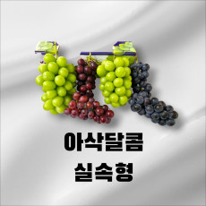 실속형 3색포도 세트 - 샤인머스캣, 홍주 씨들리스, 충랑 (지리산 남원 청정지역) 2kg