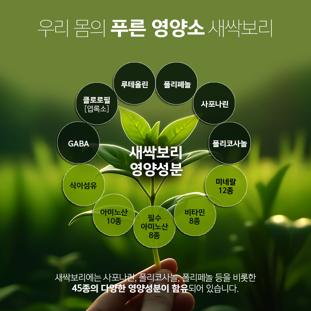 체험분 5팩 증정 + 간청고비당 플러스 30팩 1박스 뿌리까지 통째로 발효한 새삭보리 원액