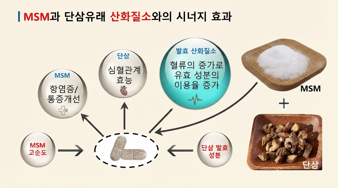 MSM과 단삼유래 산화질소 시너지 다이어그램