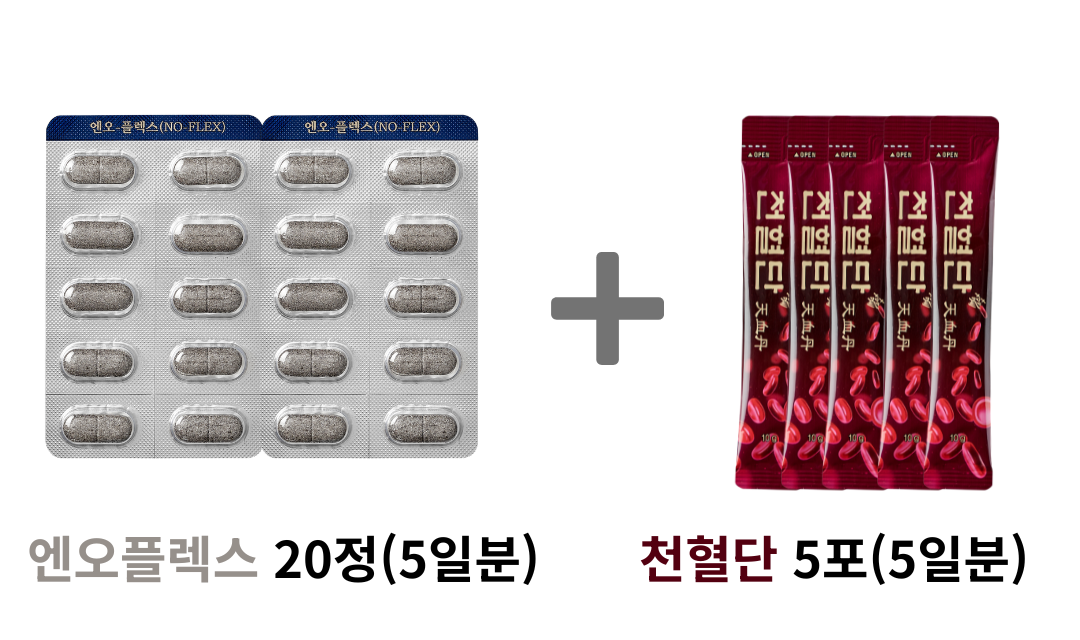 엔오플렉스와 천혈단 5일 구성 이미지