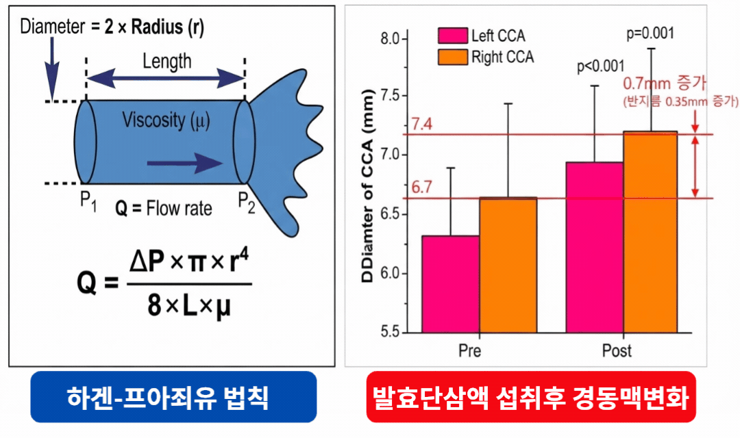 하겐-푸아죄유 법칙과 경동맥 혈류량 상관관계